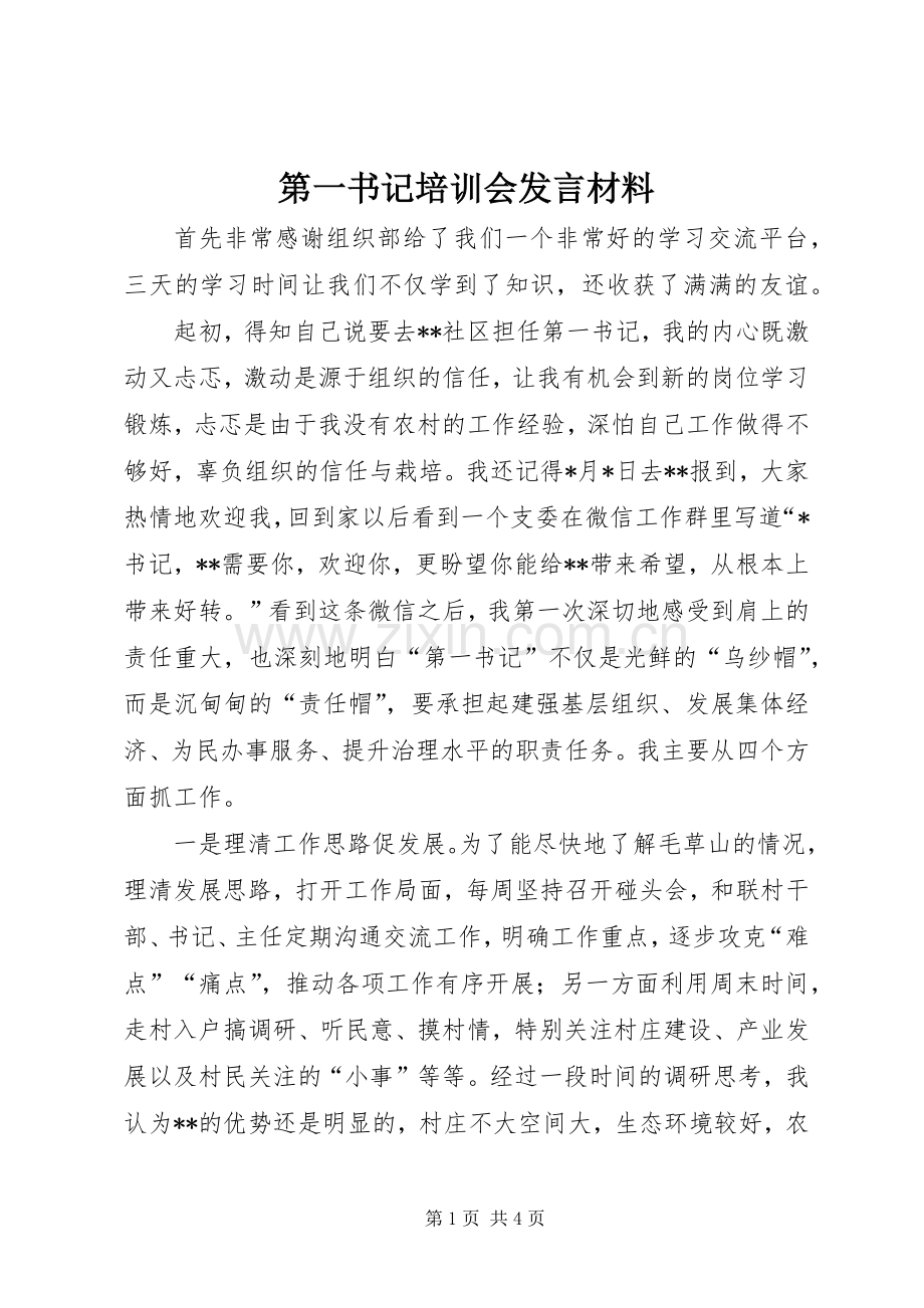 第一书记培训会发言材料提纲.docx_第1页