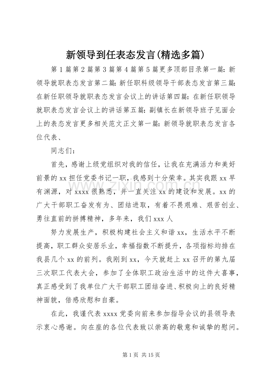 新领导到任表态发言稿(多篇).docx_第1页