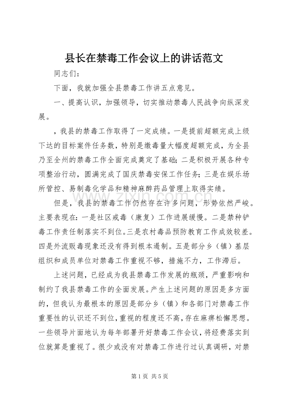 县长在禁毒工作会议上的讲话范文.docx_第1页