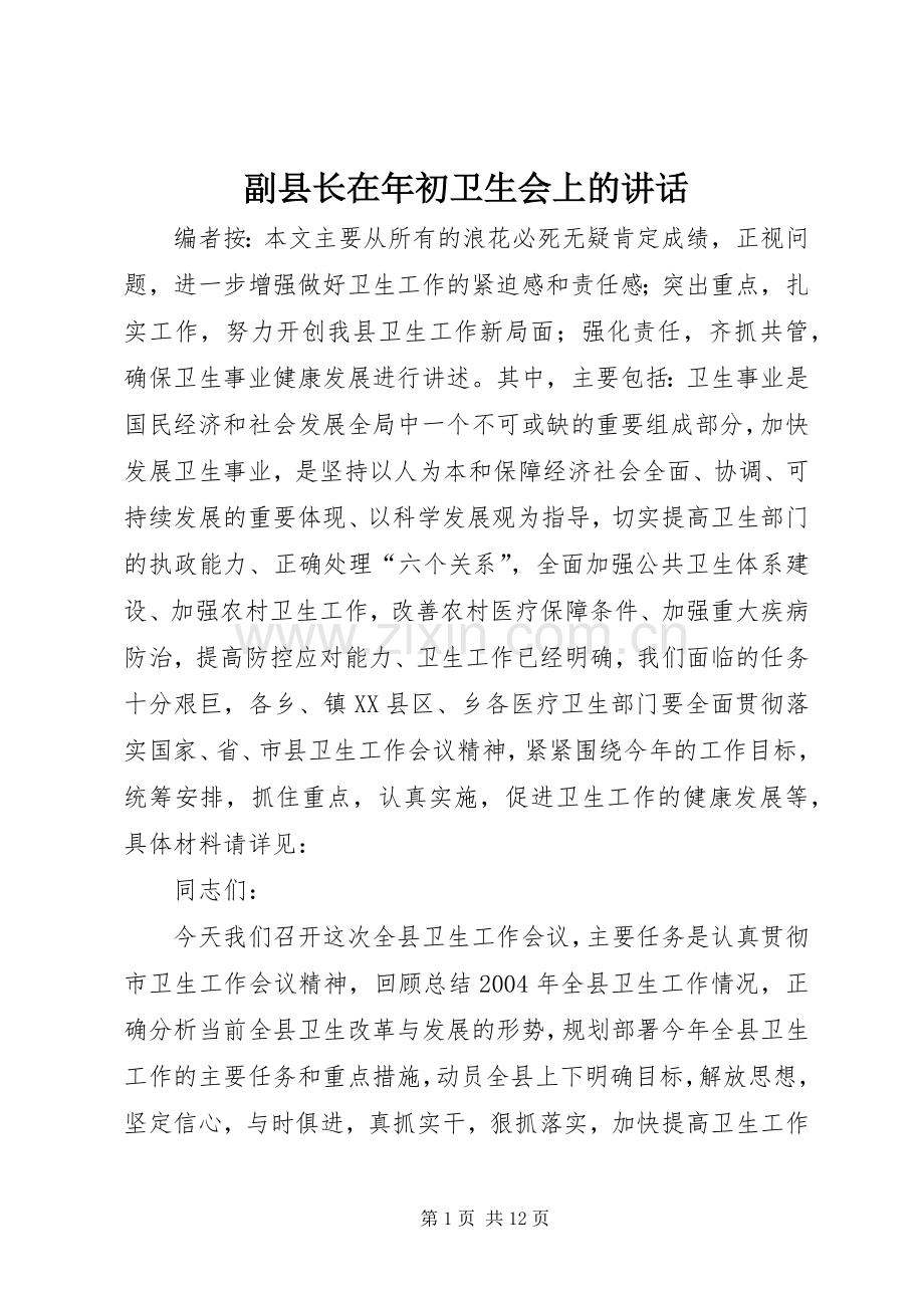 副县长在年初卫生会上的讲话.docx_第1页