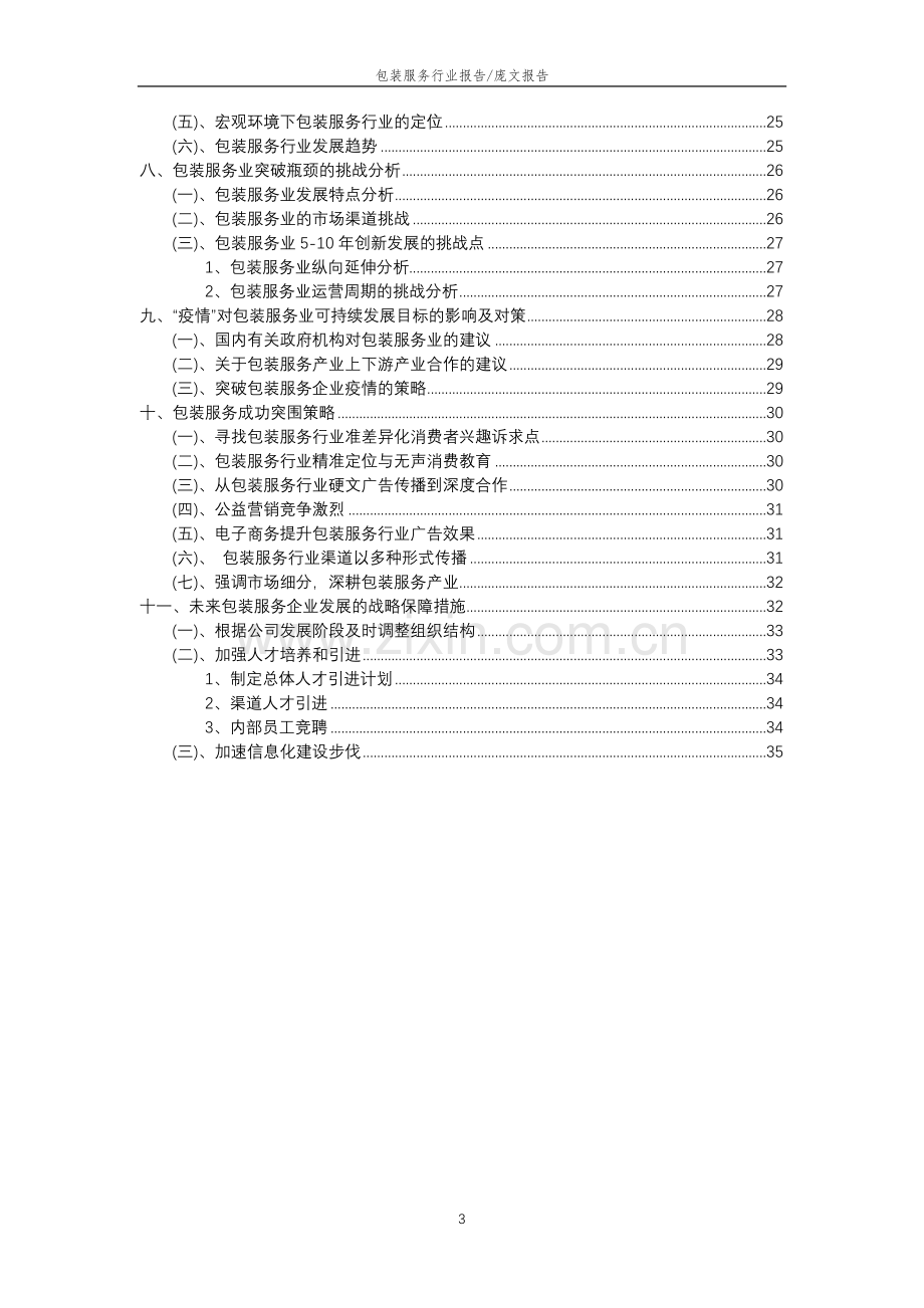 2023年包装服务行业市场突围建议及需求分析报告.docx_第3页