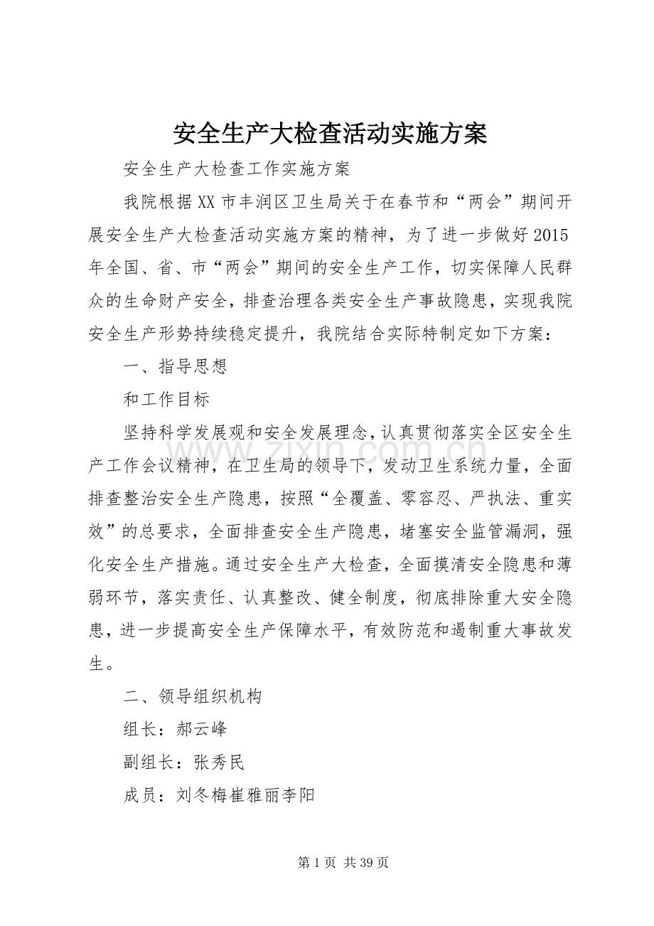 安全生产大检查活动方案.docx_第1页