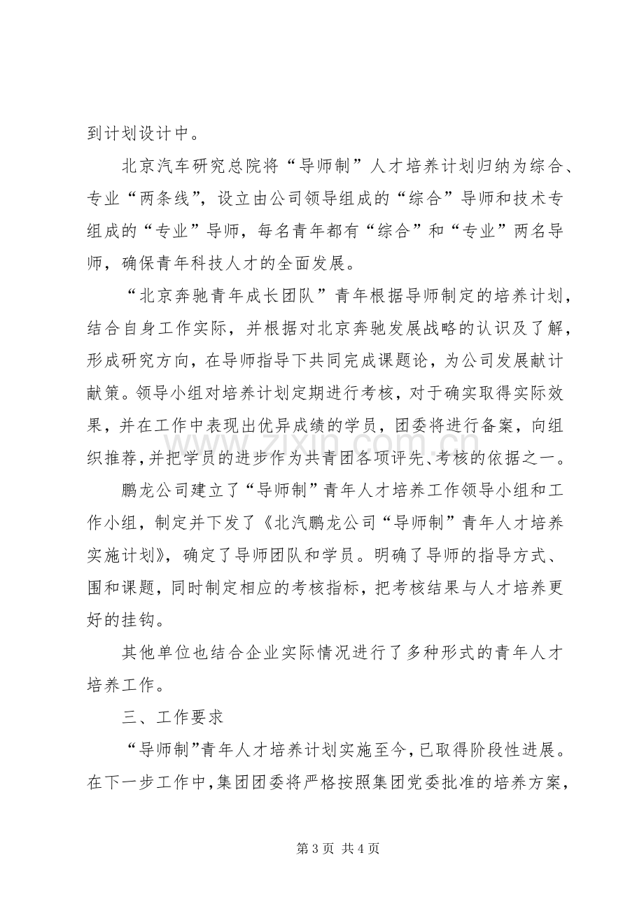 公司青年人才培养实施方案[模版] .docx_第3页