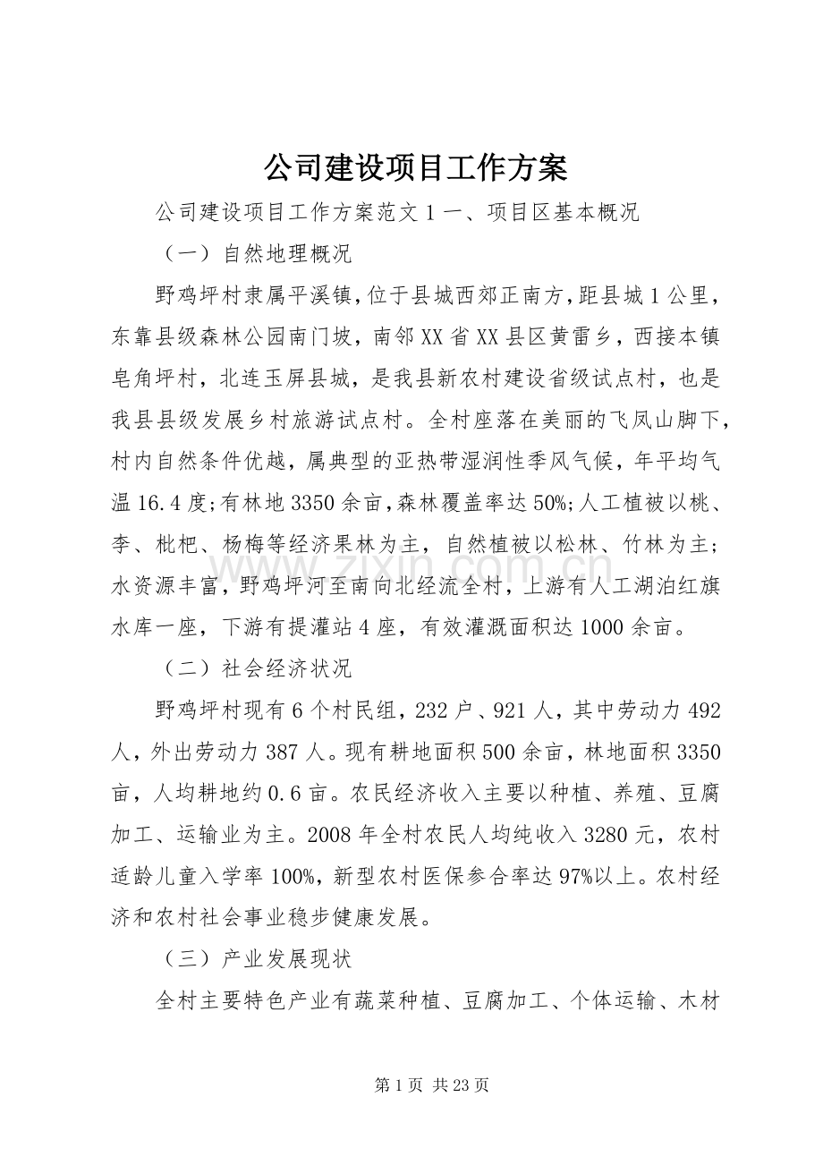 公司建设项目工作实施方案.docx_第1页