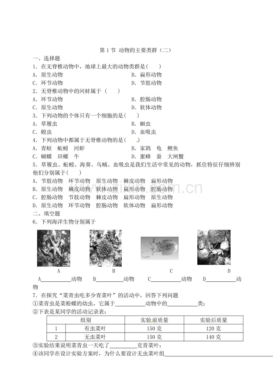 七年级科学上册-6.1-动物的主要类群练习-华东师大版.doc_第3页