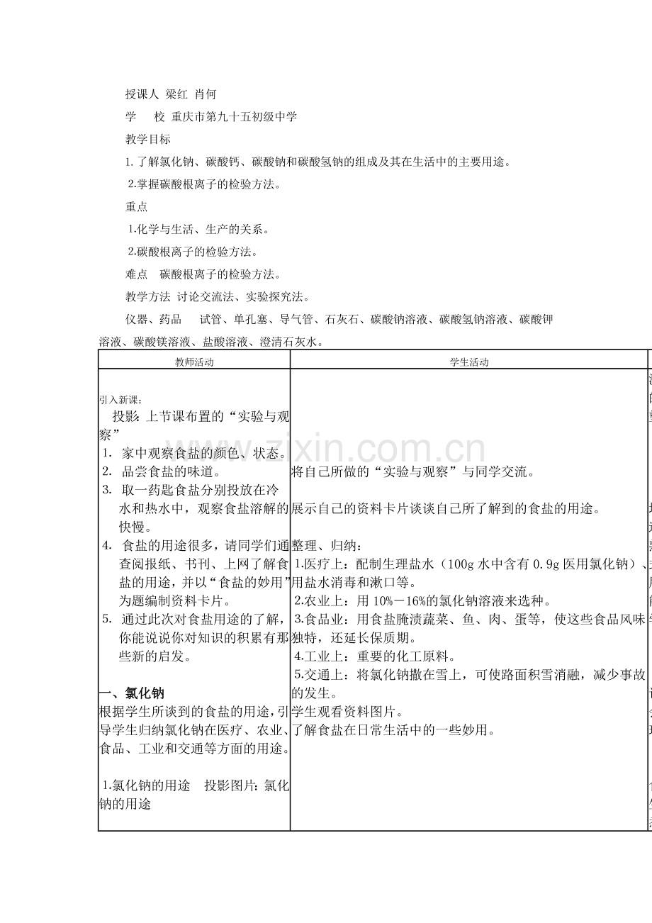 生活中常见的盐教学设计x.docx_第2页