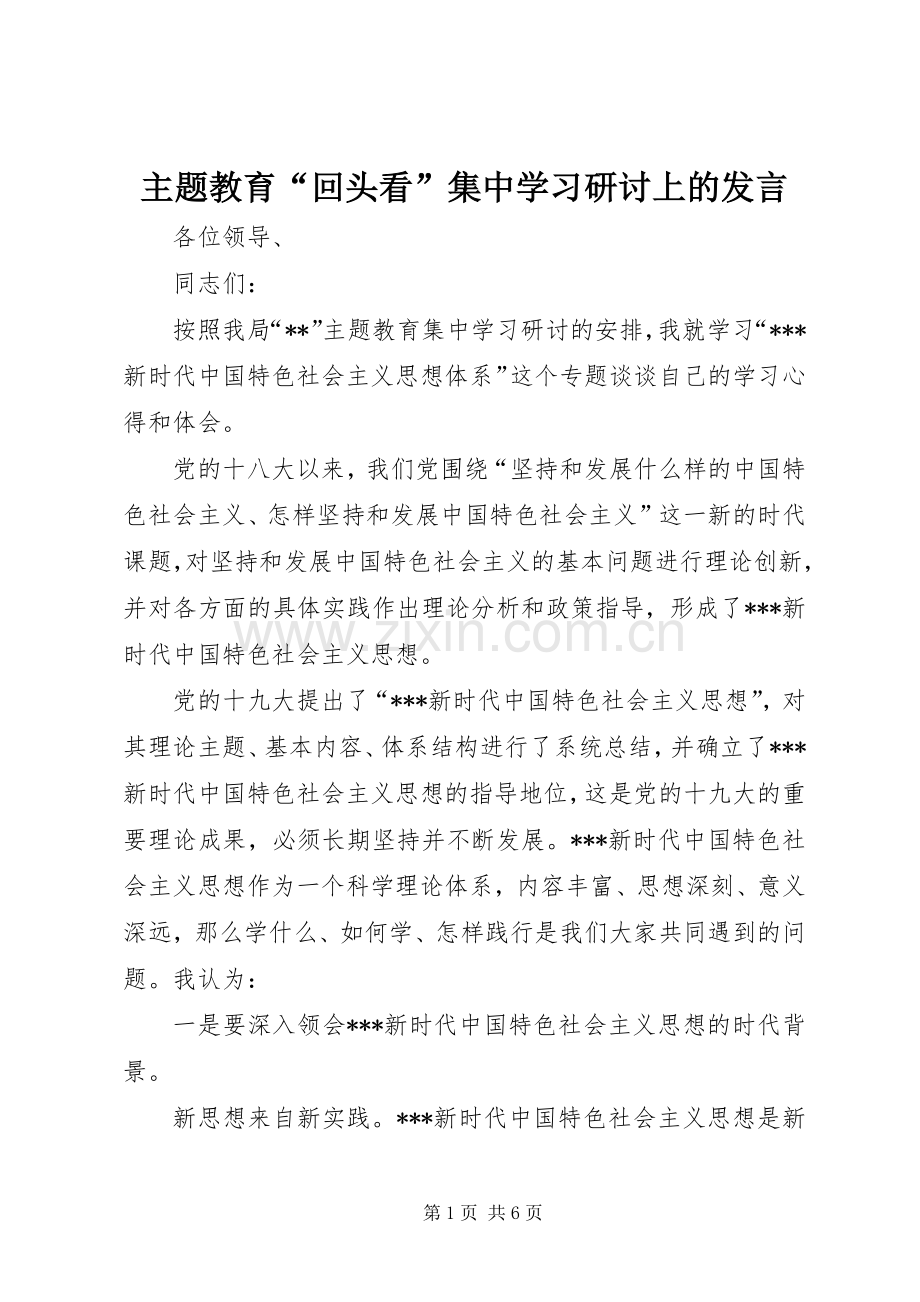 主题教育“回头看”集中学习研讨上的发言稿.docx_第1页