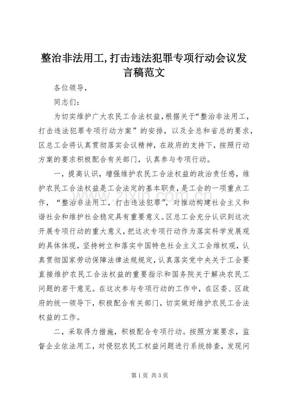 整治非法用工,打击违法犯罪专项行动会议发言范文.docx_第1页