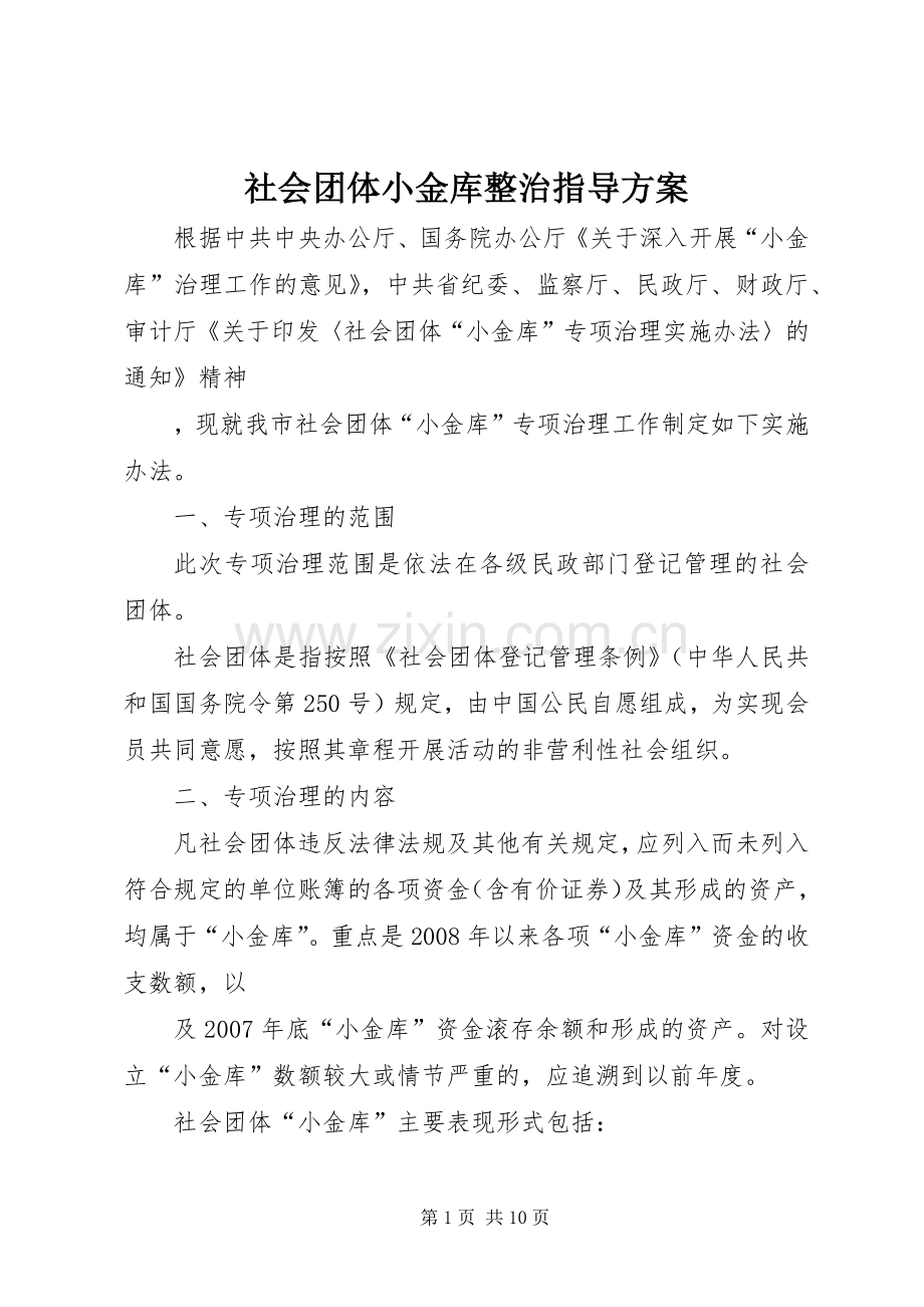 社会团体小金库整治指导实施方案.docx_第1页