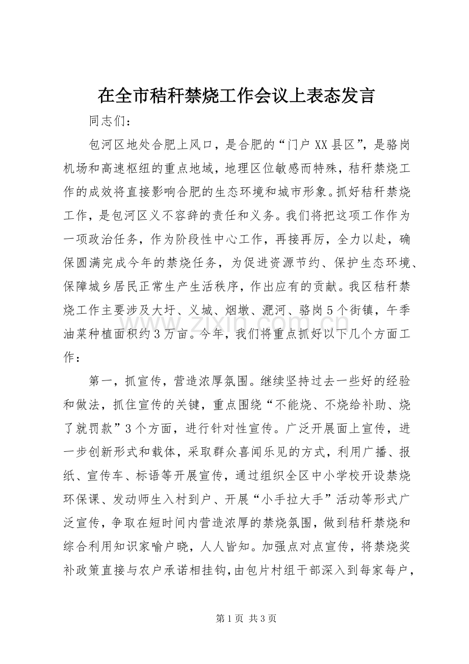 在全市秸秆禁烧工作会议上表态发言.docx_第1页