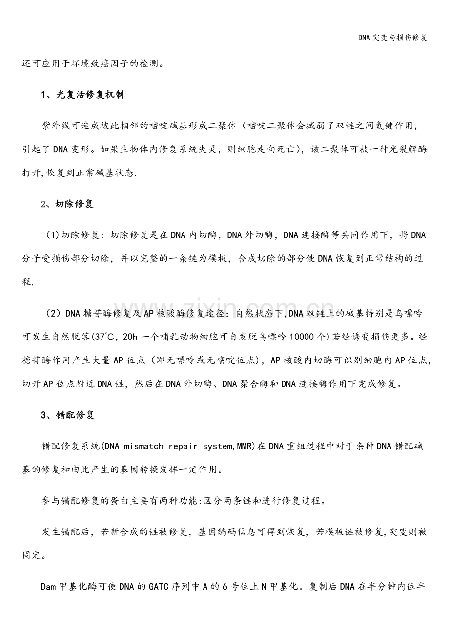 DNA突变与损伤修复.doc_第2页