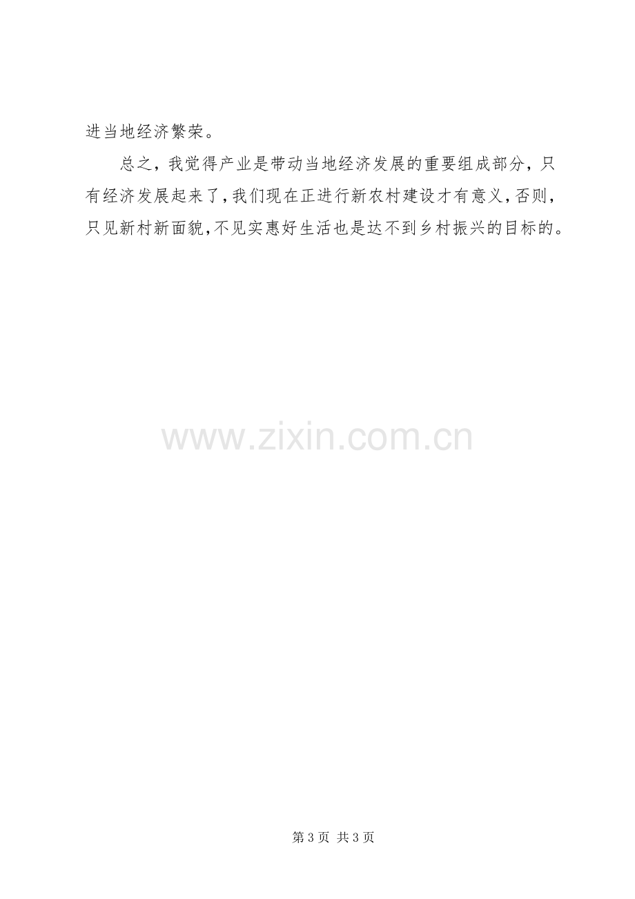 在乡村振兴调研座谈会上的发言材料提纲.docx_第3页