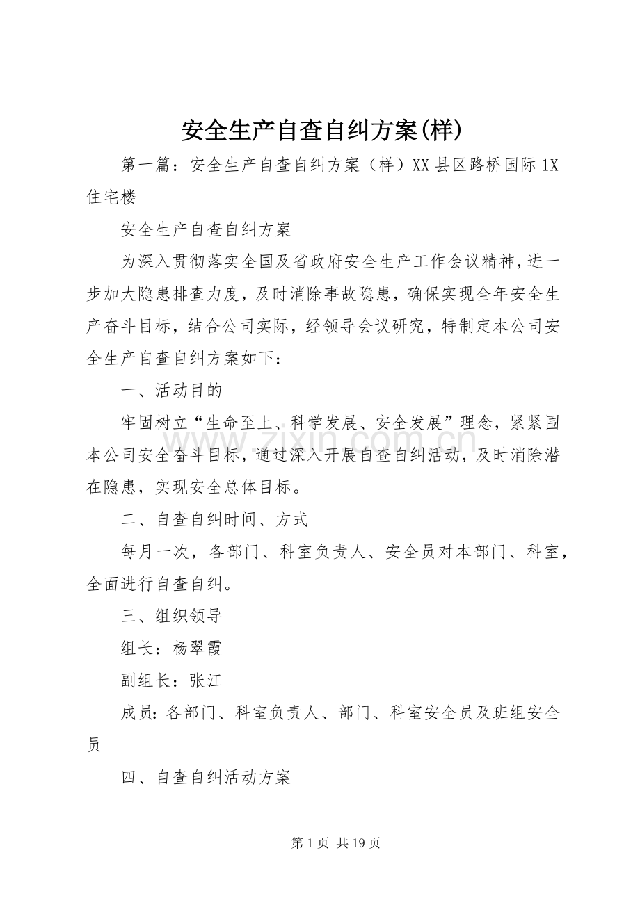 安全生产自查自纠实施方案(样).docx_第1页