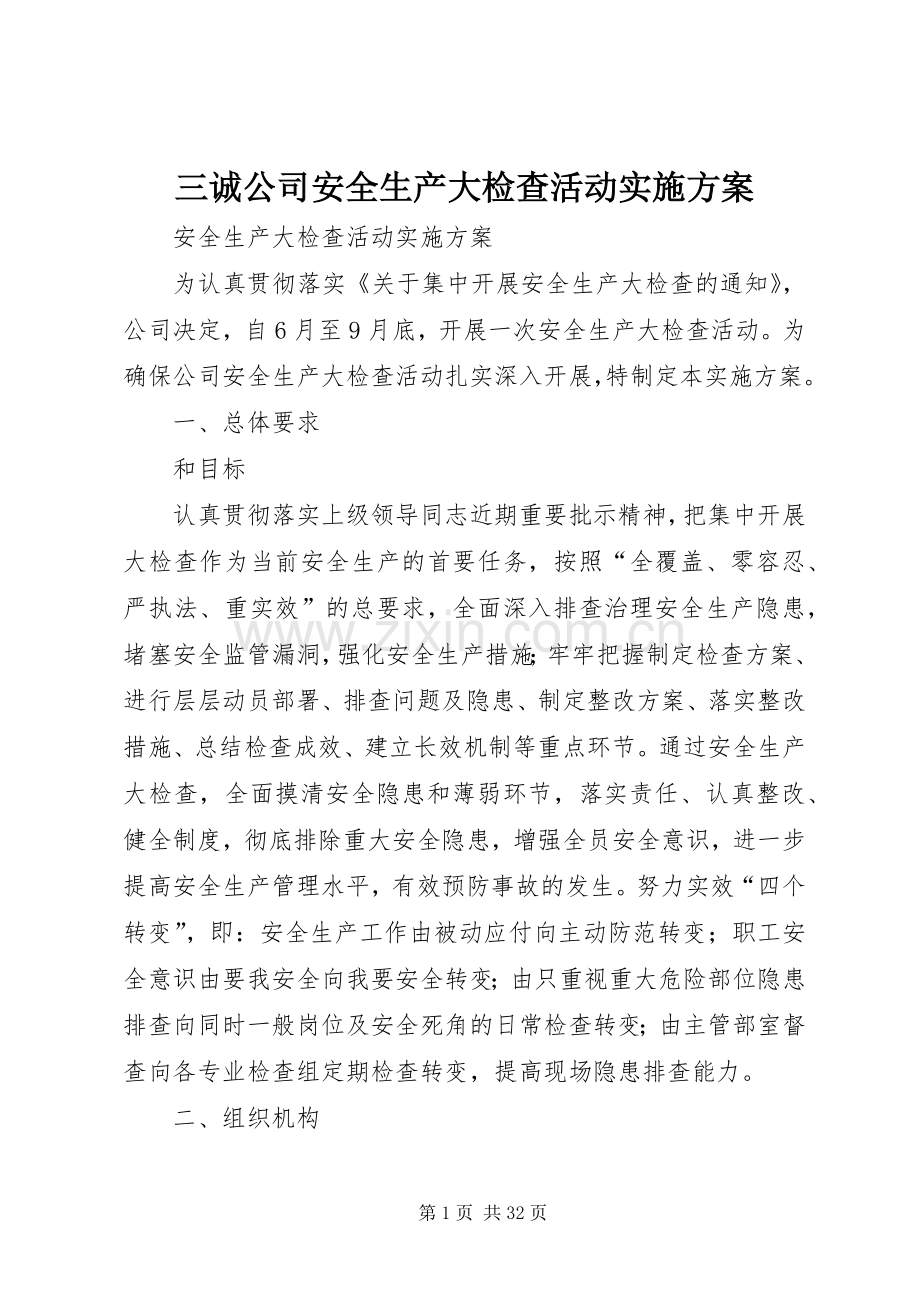 三诚公司安全生产大检查活动方案.docx_第1页