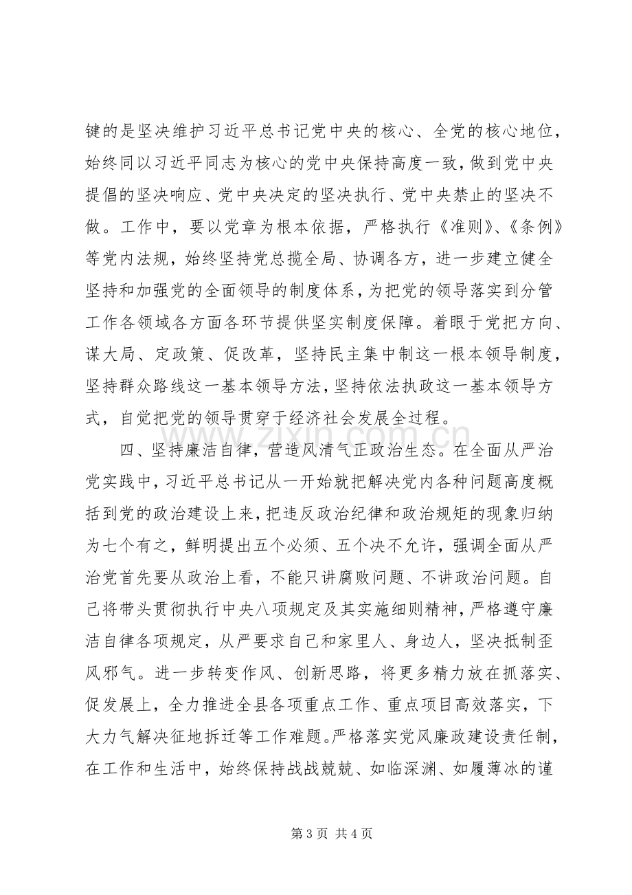 常务副县长党的政治建设研讨发言稿.docx_第3页