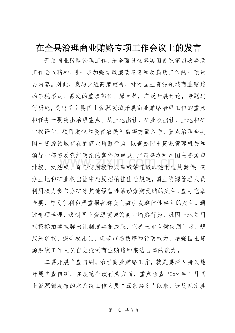 在全县治理商业贿赂专项工作会议上的发言.docx_第1页