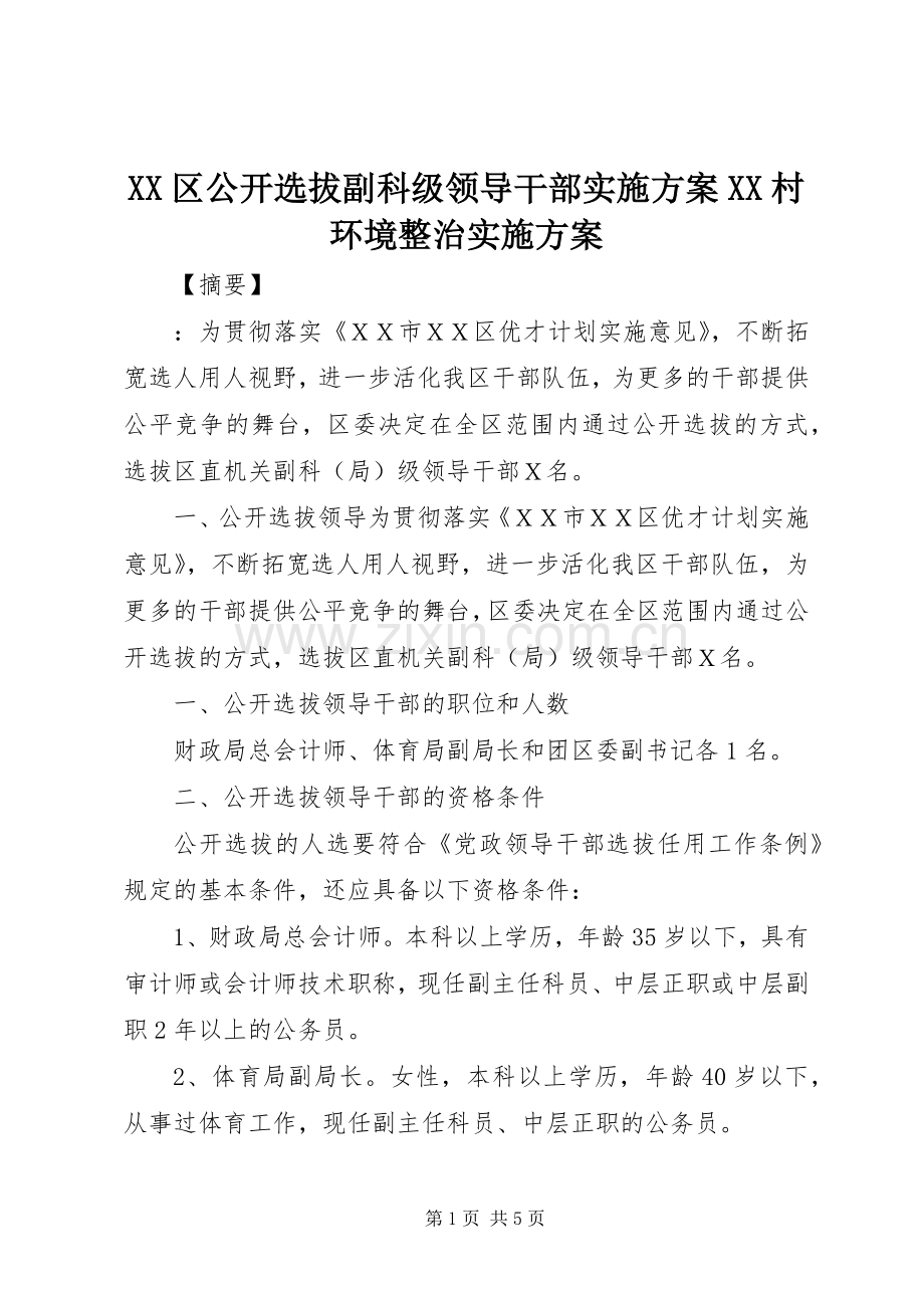 XX区公开选拔副科级领导干部方案XX村环境整治方案.docx_第1页