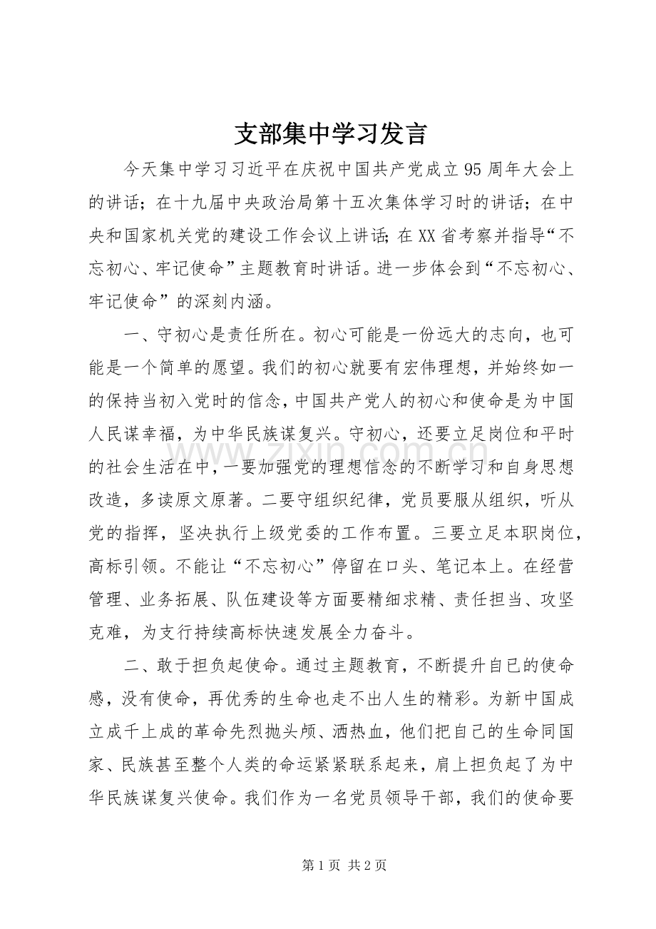 支部集中学习发言.docx_第1页