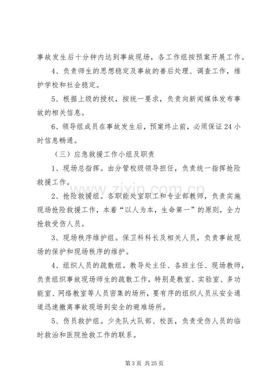 大型集会应急处理预案.docx_第3页