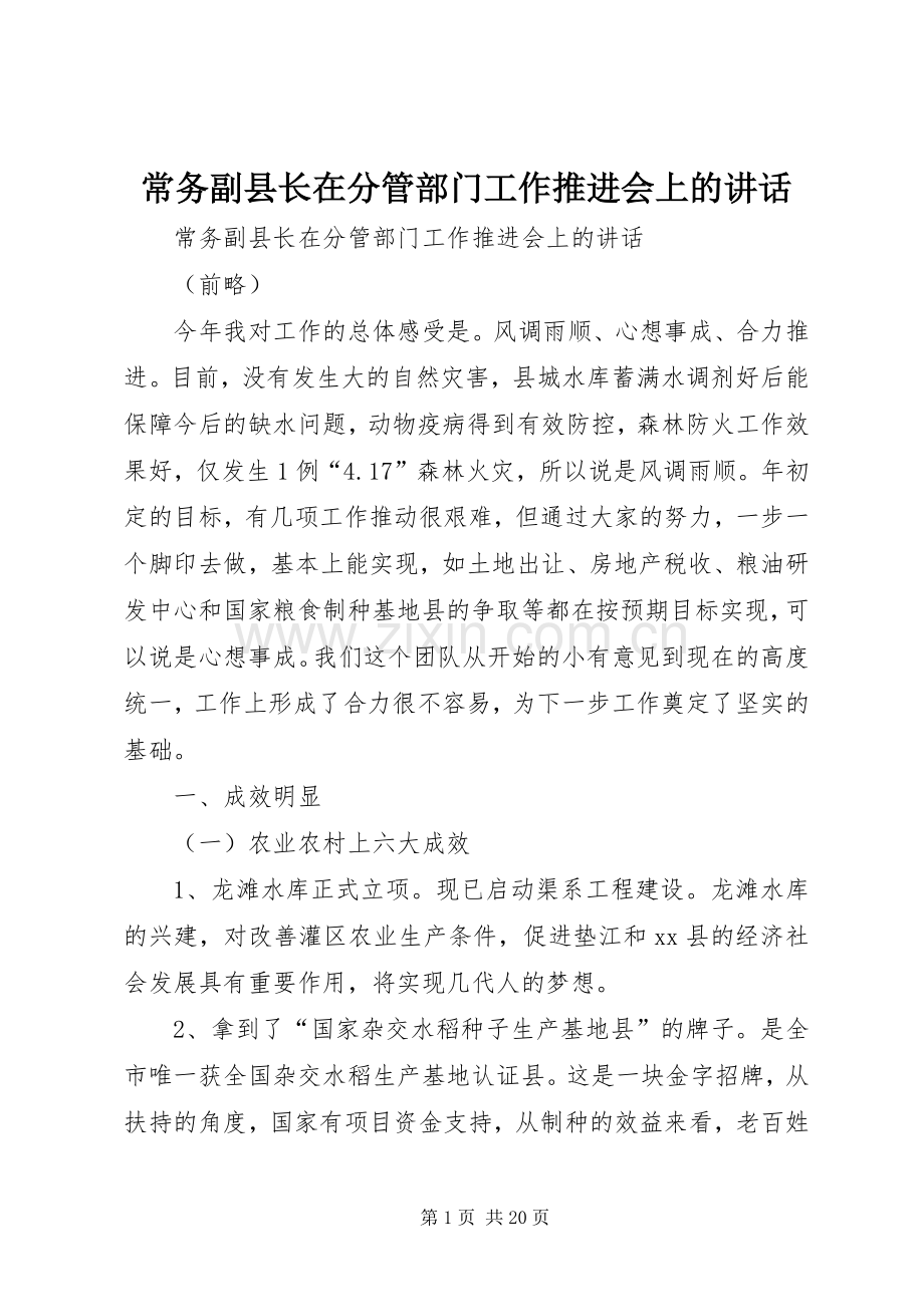 常务副县长在分管部门工作推进会上的讲话.docx_第1页