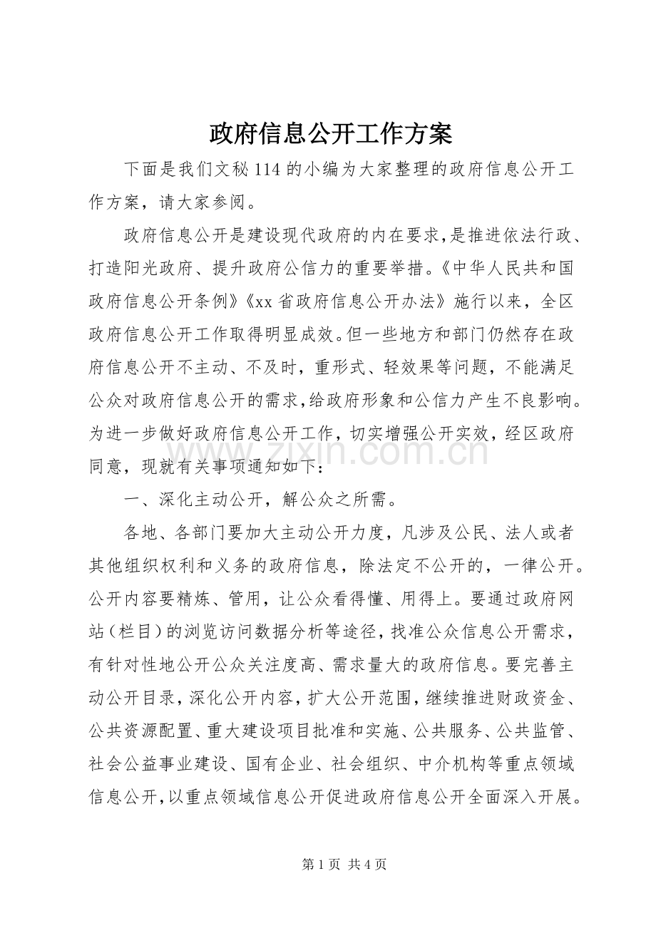 政府信息公开工作实施方案.docx_第1页