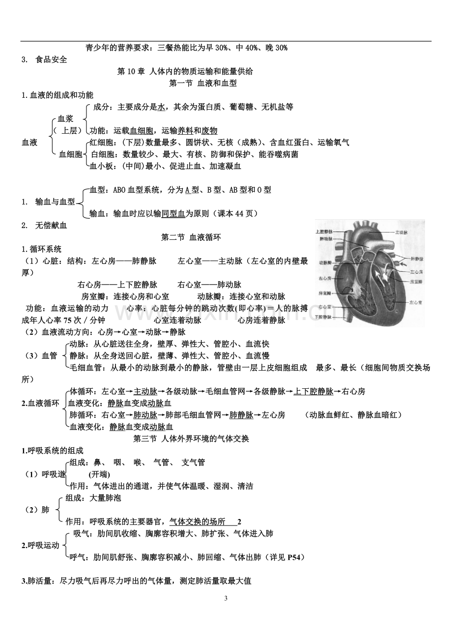 七年级下册苏教版生物复习提纲.doc_第3页