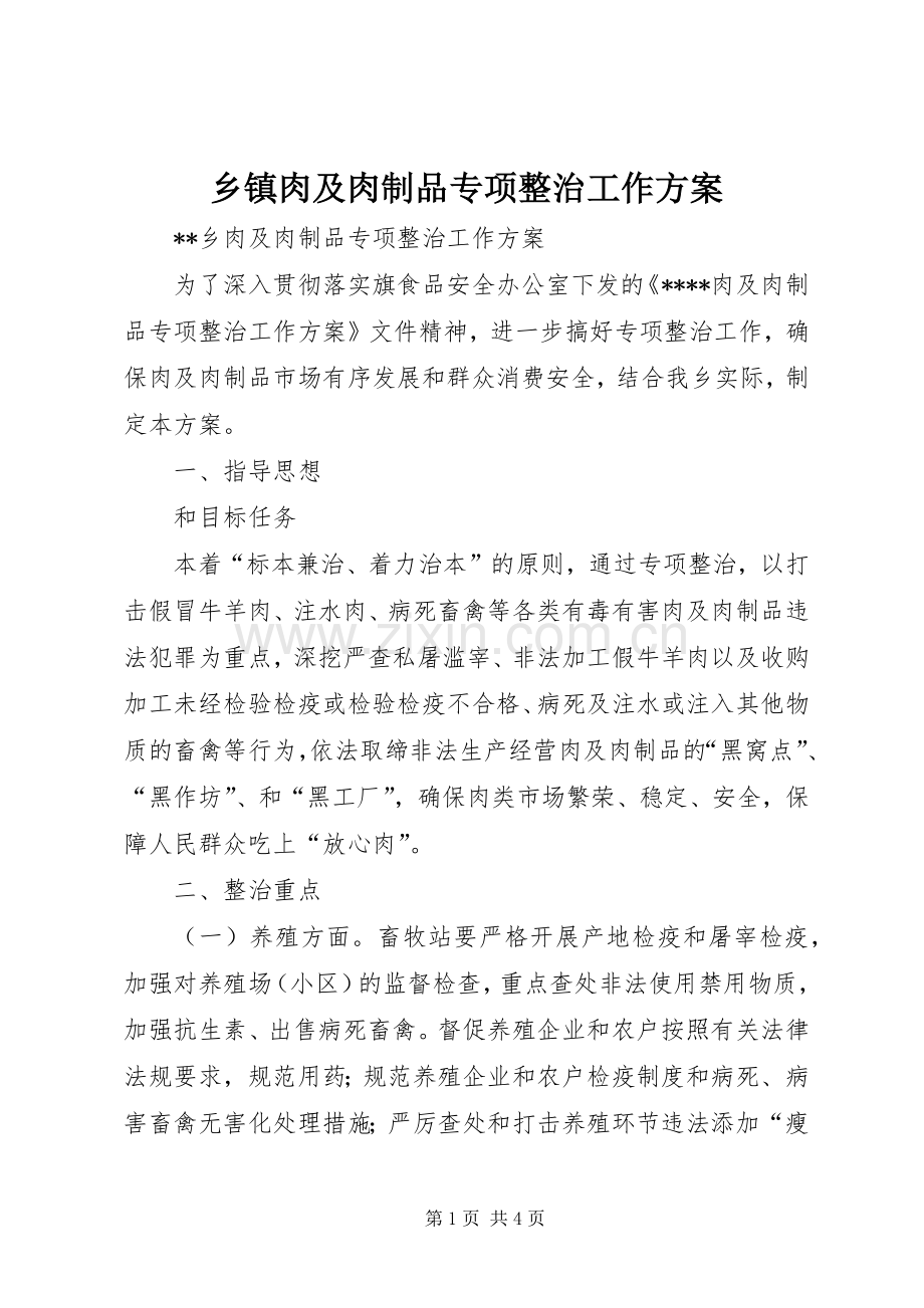 乡镇肉及肉制品专项整治工作实施方案.docx_第1页