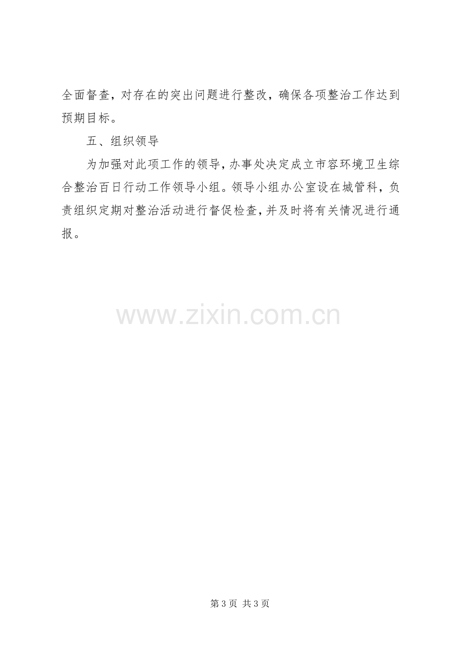 市容卫生整顿指导实施方案.docx_第3页