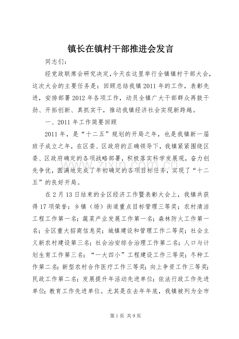 镇长在镇村干部推进会发言稿.docx_第1页