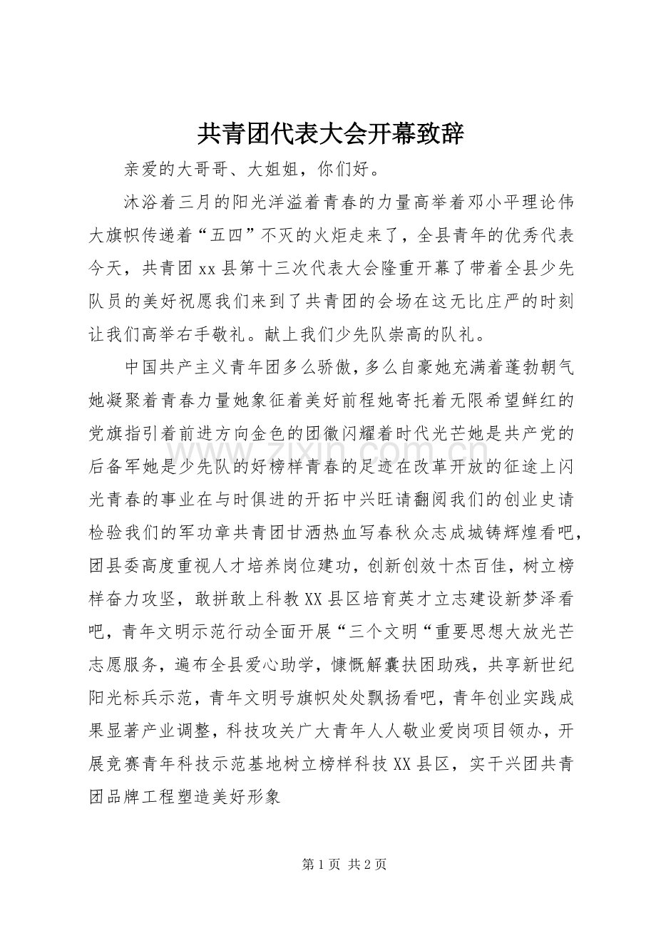 共青团代表大会开幕演讲致辞.docx_第1页