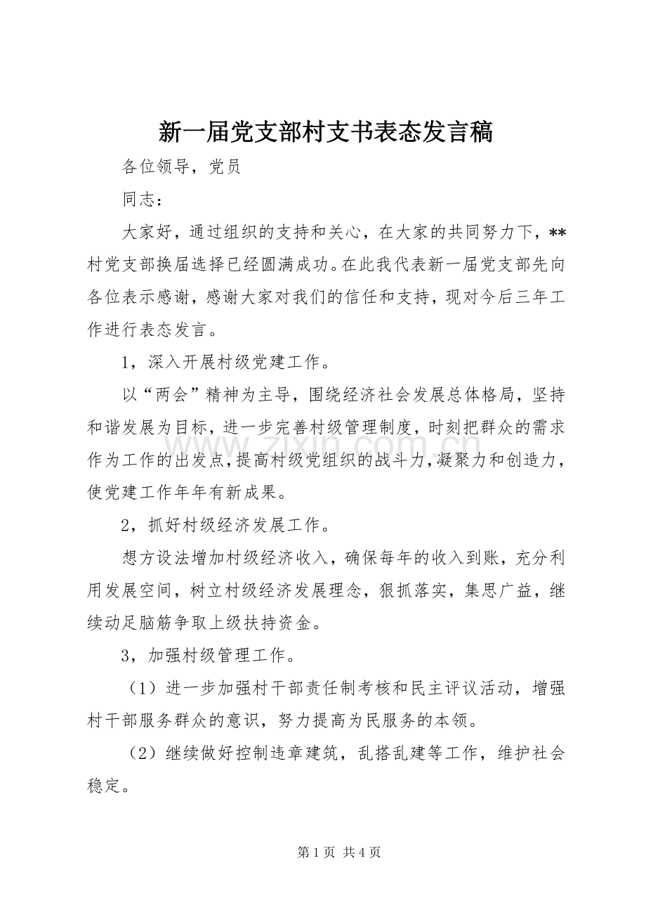 新一届党支部村支书表态发言.docx_第1页