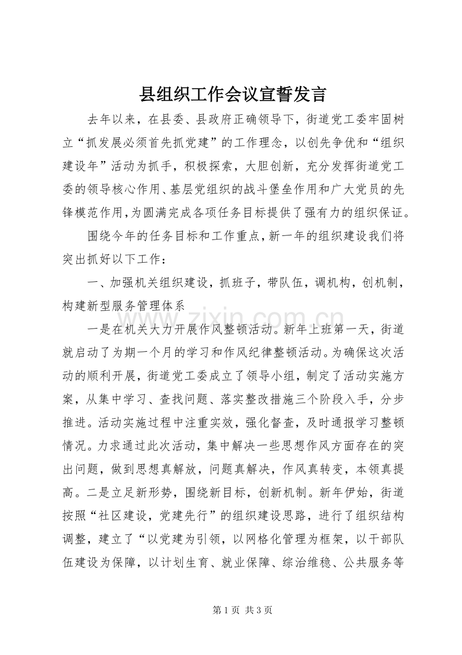 县组织工作会议宣誓发言稿.docx_第1页