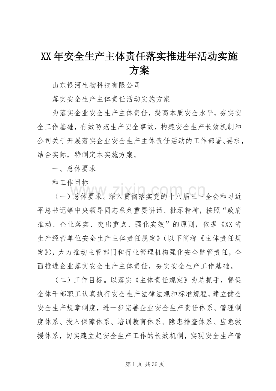 XX年安全生产主体责任落实推进年活动方案.docx_第1页