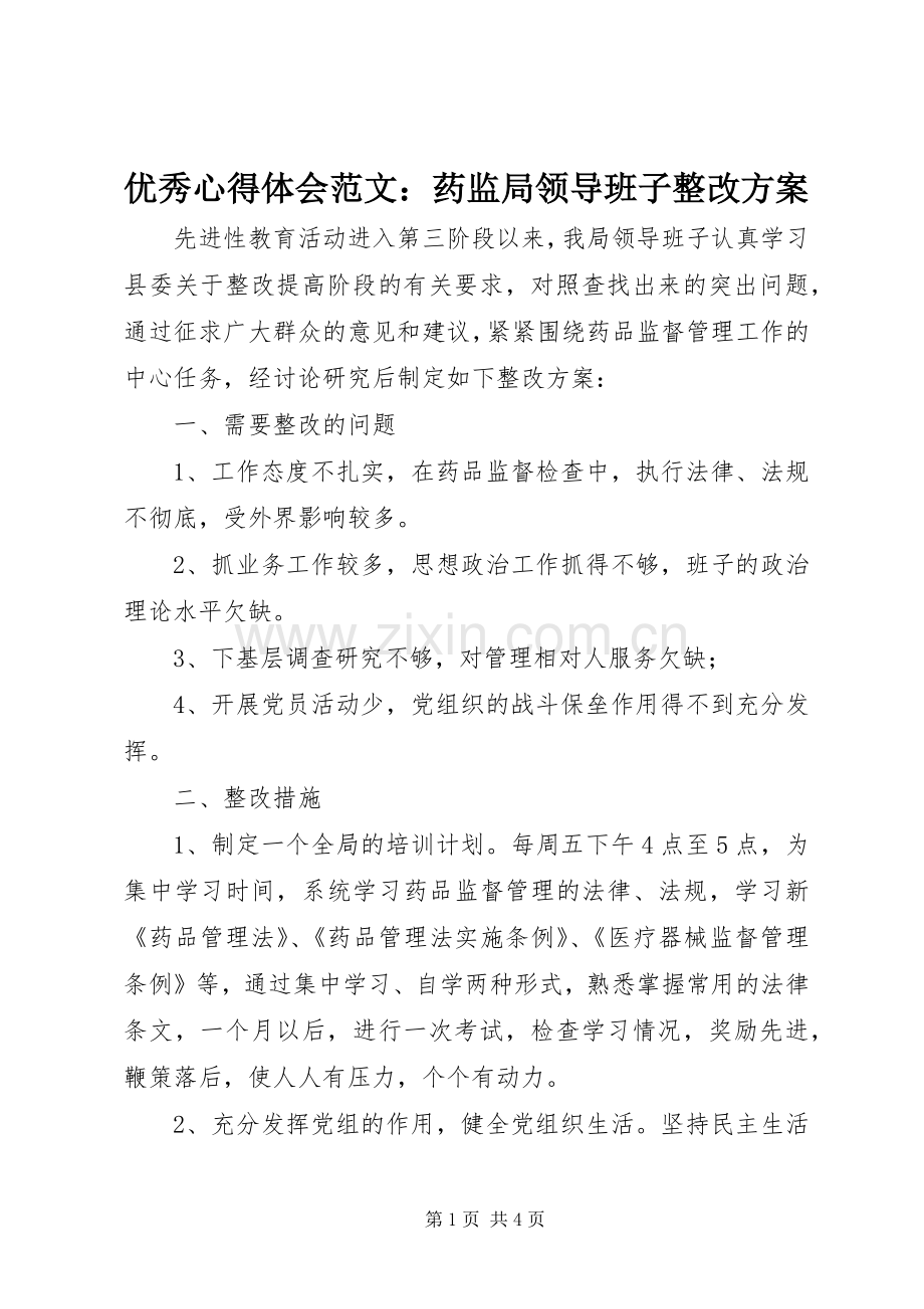 优秀心得体会范文：药监局领导班子整改实施方案.docx_第1页