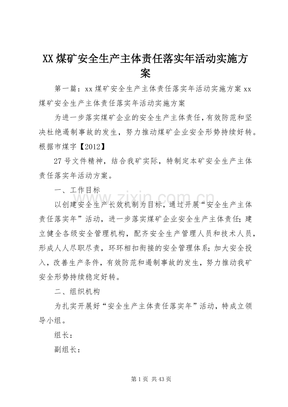 XX煤矿安全生产主体责任落实年活动方案.docx_第1页