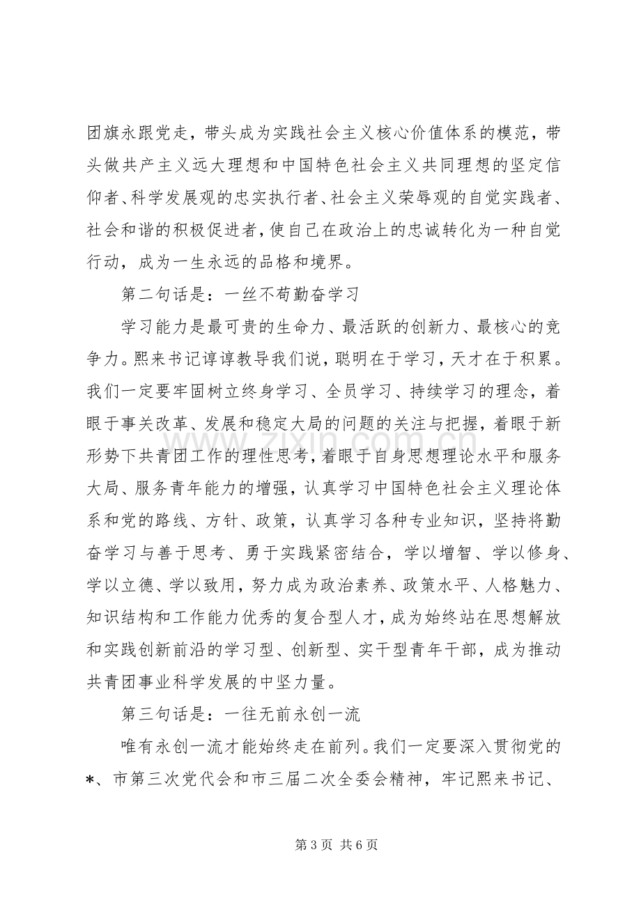 共青团书记全委会上的讲话.docx_第3页