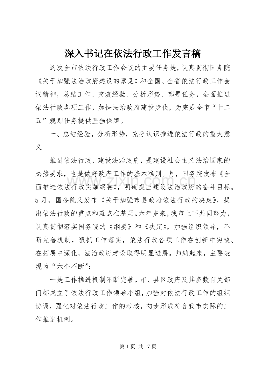 深入书记在依法行政工作发言稿.docx_第1页