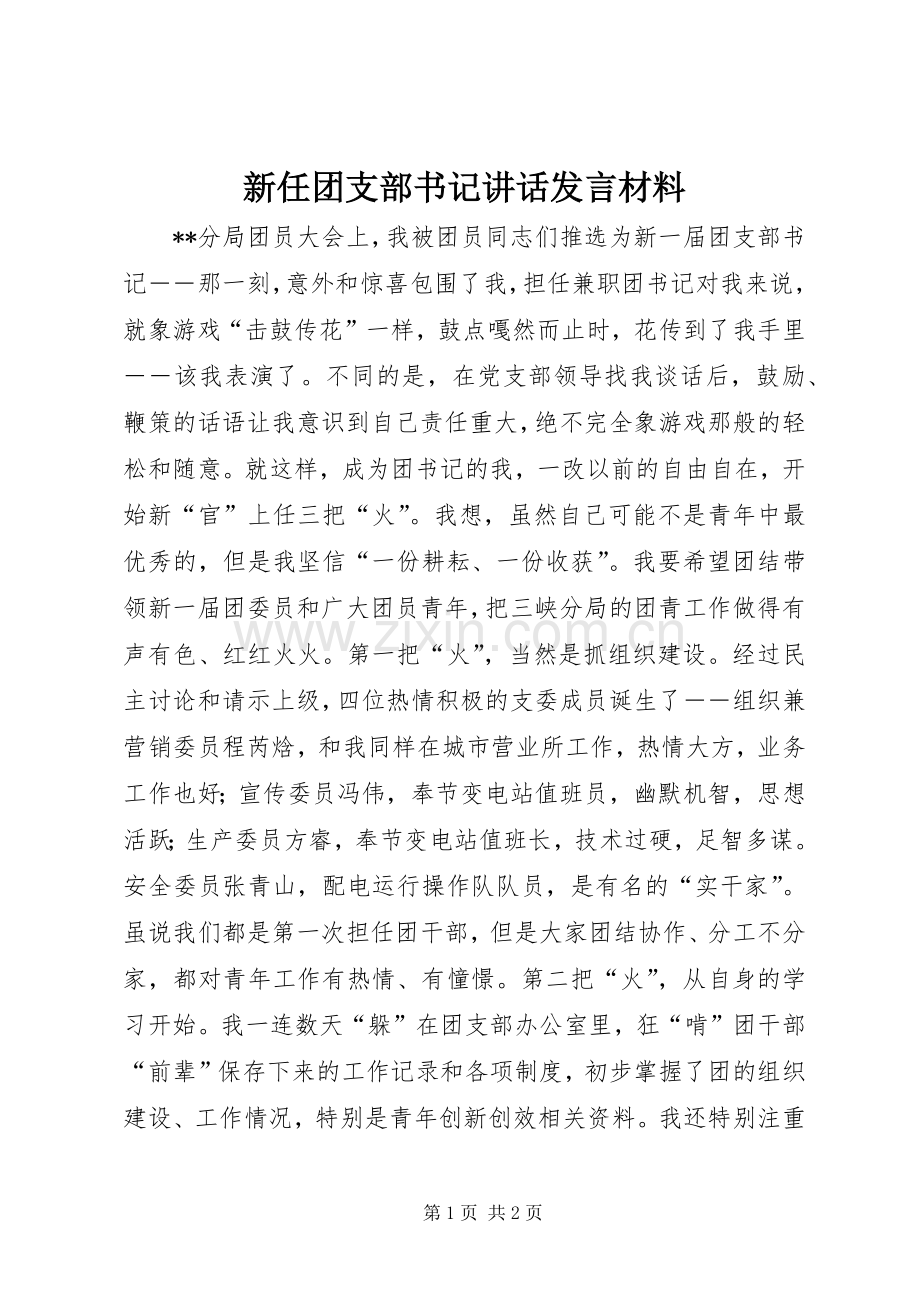 新任团支部书记讲话发言致辞.docx_第1页