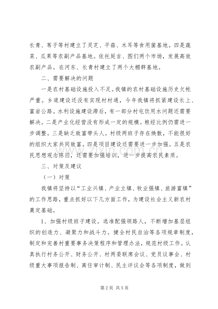 新农村座谈会上的发言材料提纲.docx_第2页