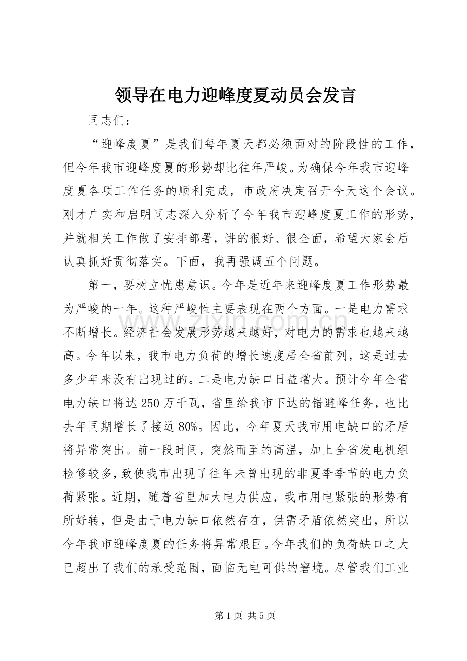 领导在电力迎峰度夏动员会发言稿.docx_第1页