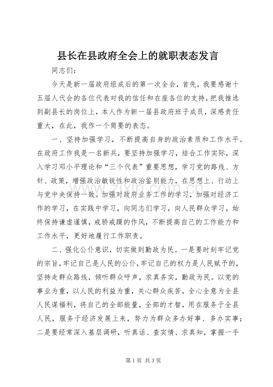 县长在县政府全会上的就职表态发言稿.docx_第1页