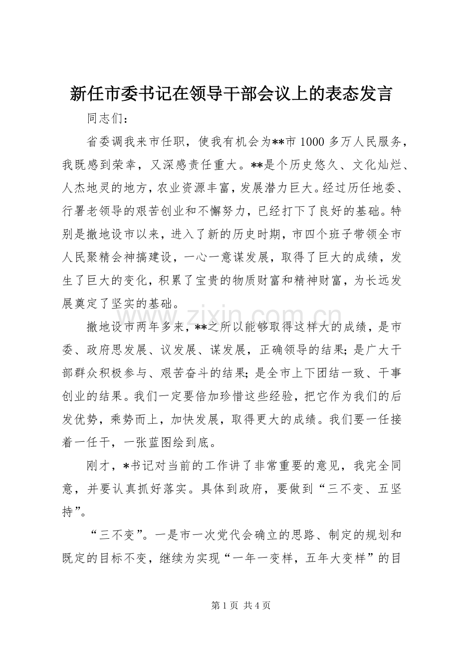 新任市委书记在领导干部会议上的表态发言稿 (2).docx_第1页