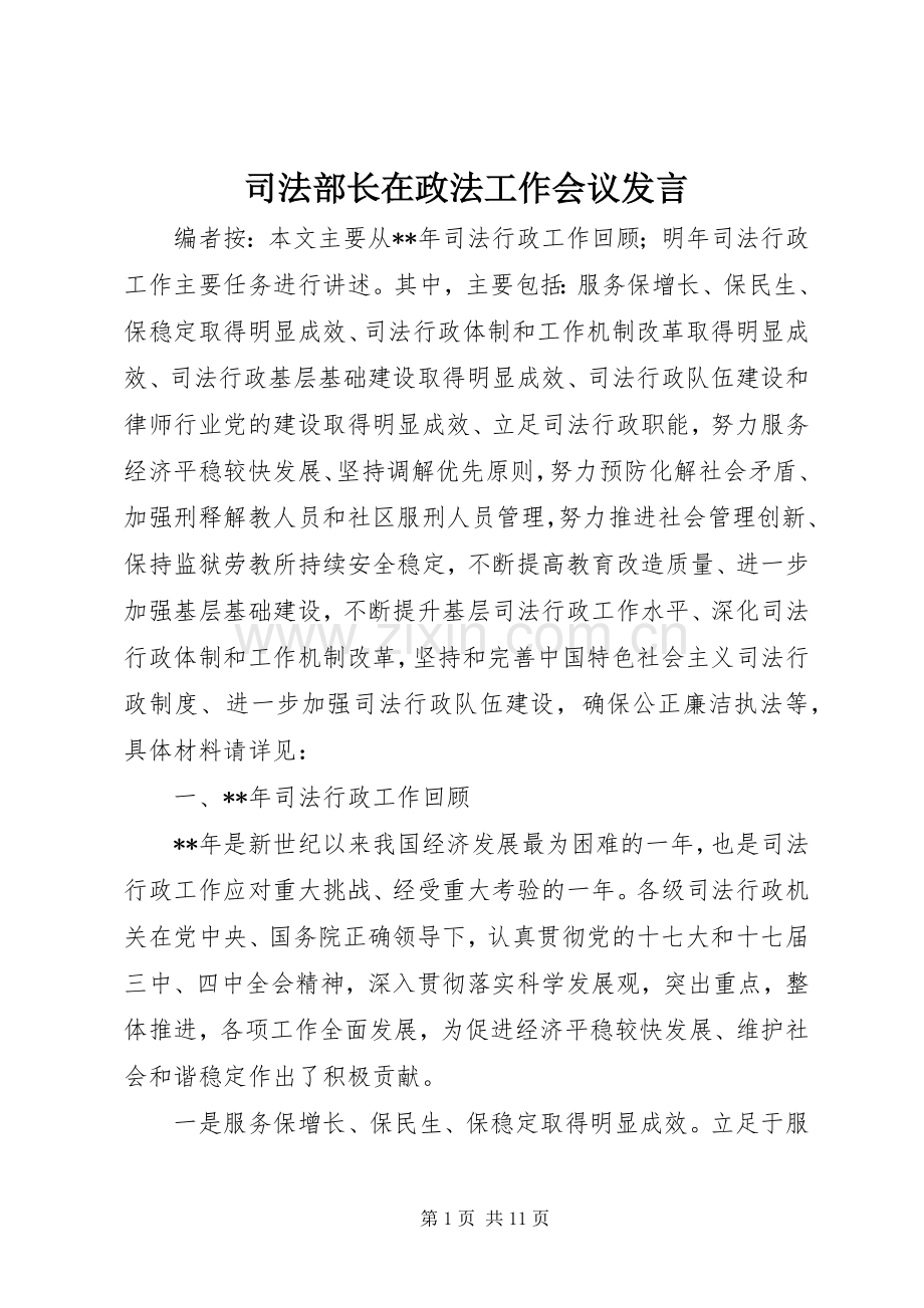 司法部长在政法工作会议发言稿.docx_第1页