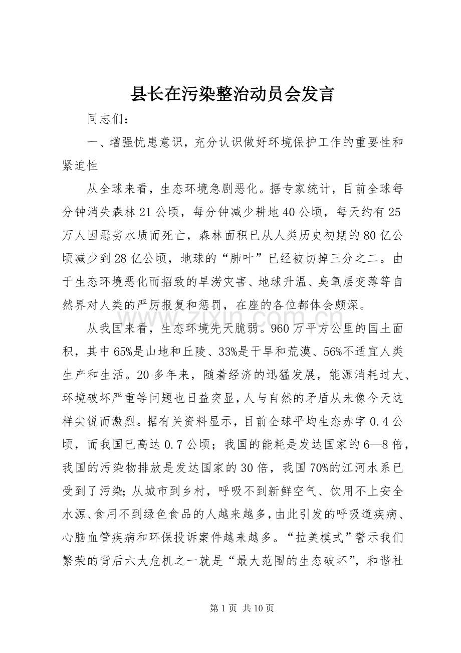 县长在污染整治动员会发言.docx_第1页