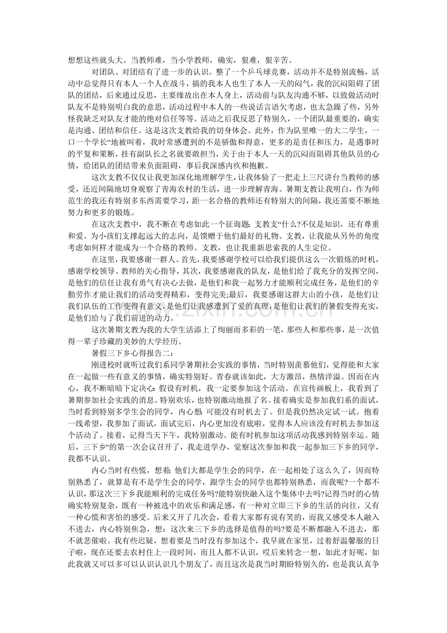 大学生暑假三下乡支教社会实践心得报告2024.doc_第2页