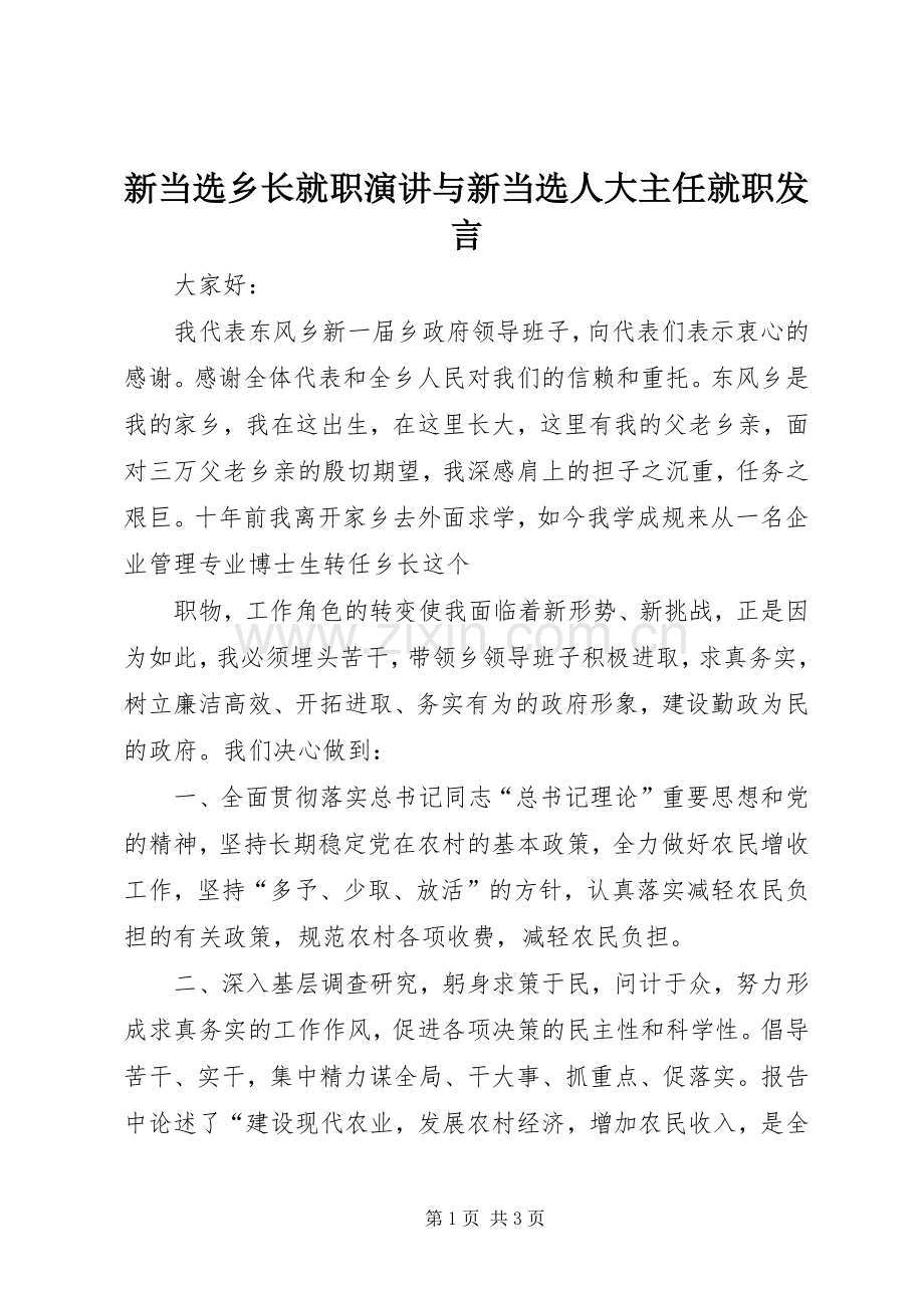 新当选乡长就职演讲与新当选人大主任就职发言稿 (2).docx_第1页