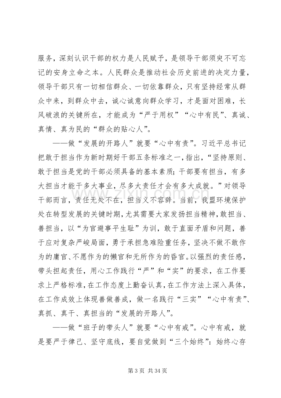 “严以律己”专题研讨会发言(环保局党组书记).docx_第3页