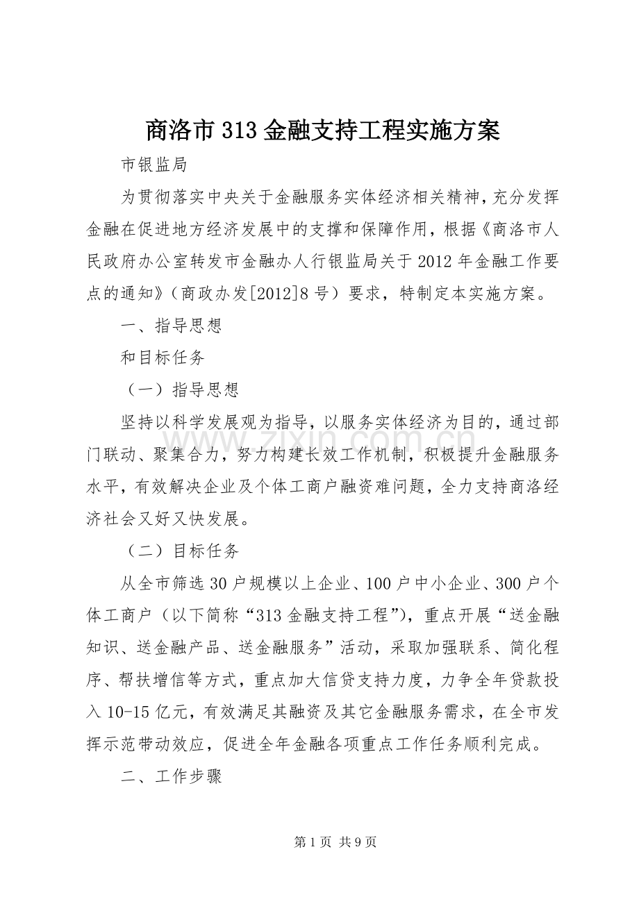 商洛市313金融支持工程方案.docx_第1页