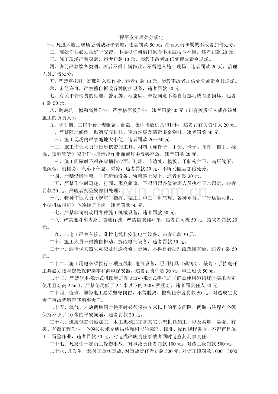 项目安全管理处罚规定.doc_第1页