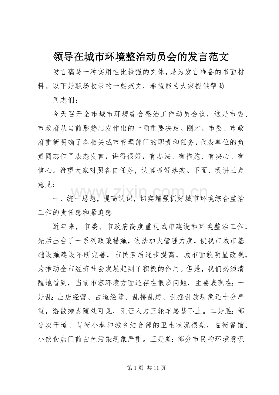 领导在城市环境整治动员会的发言范文.docx_第1页